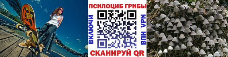 Галлюциногенные грибы MAGIC MUSHROOMS  Купить где  Бугуруслан 